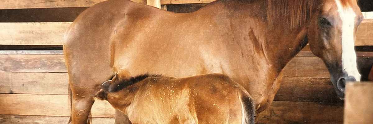 Zimsis with baby Kizmet